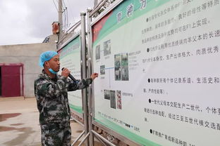 科技賦能，服務引領 技術推廣在脫貧攻堅與農民增收中的核心作用